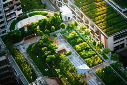 Sustainability Guideline Services